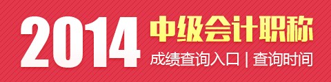 2014年中级会计职称考试成绩查询专题